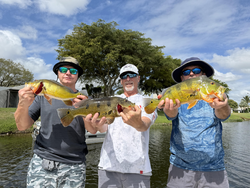 Caught some nice ones on this beautiful day!