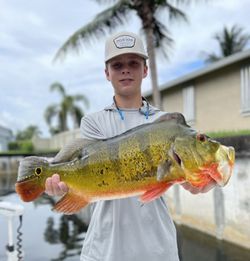 A lone fisherman reels in a 25-inch catch in FL