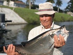 A single fisherman holding a 19 inch fish in Delray Beach
