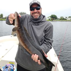 Angler fishing in Florida