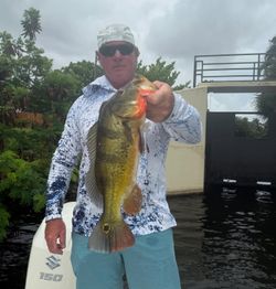 A person fishing in FL