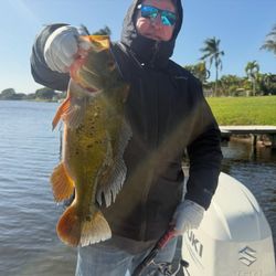 A person fishing in FL