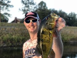 Angler holding a 15-inch fish in Florida