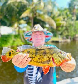Peacock bass caught while fishing in FL