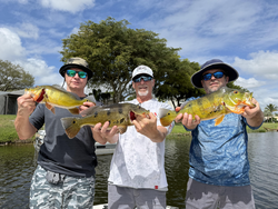 Landed a few good ones by the lake.