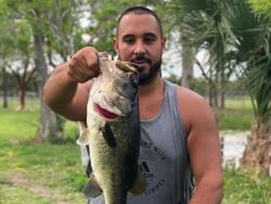 Largemouth Bass caught in FL