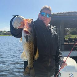 Largemouth bass being caught while fishing in Florida