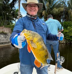 A lone angler enjoying a fishing trip in Florida