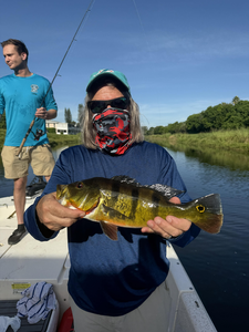 Nice peacock bass on light tackle! Trolling produced this exciting adventure.