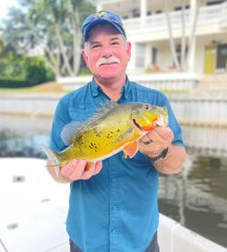 A lone fisherman angling in the waters of Florida
