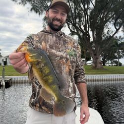 Lone angler fishing in Florida