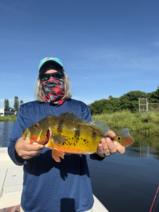 Great catch trolling with light tackle! Perfect day on the water.