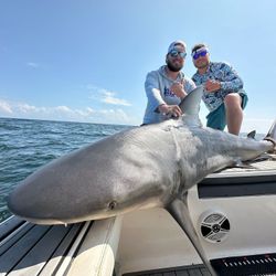 Captain Jared got it done on this shark trip! Summer 2024