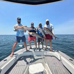 Captain Clay and crew with a limit of Amberjack. Fall Season 2023