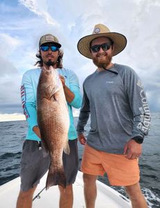 Captain Clay and client with a 30 inch mangrove snapper. Good eats!