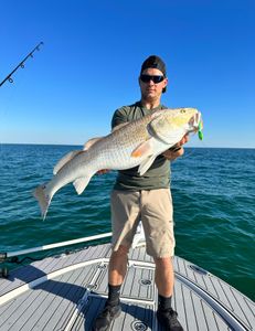 Angler holding a large redfish in Pensacola