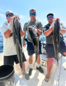 Three big fish caught in AL with fishing gear