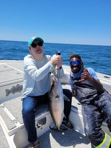 Greater Amberjack caught while fishing in AL