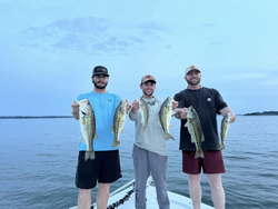 5 largemouth bass caught in SC