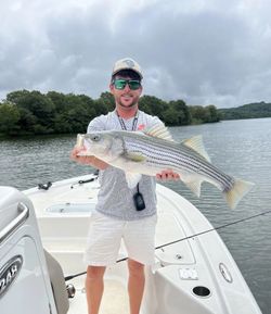 SC Bass Fishing Charter Awaits!
