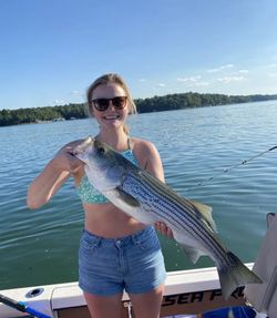 Fishing Charters South Carolina Bass Wonderland!