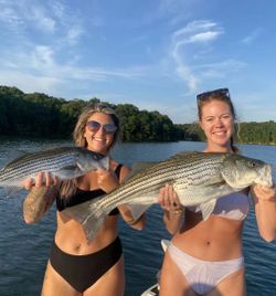 SC Charter Fishing Bass Odyssey Unfolds!