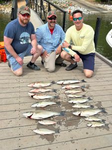 9 striped bass caught in SC