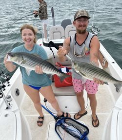SC Charter Fishing Bass Voyage Commences Now!