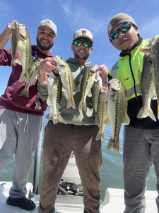 Spotted bass and largemouth bass caught fishing in SC