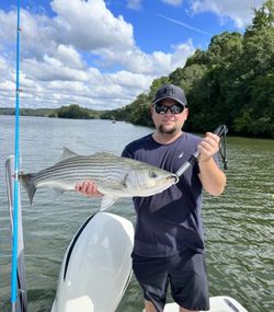 SC Charter Fishing Bass