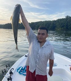 Hooking Big Charter Fishing SC Bass Dreams!