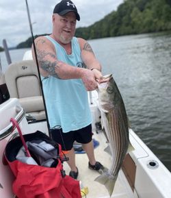 Super Bass Charter Fishing SC!