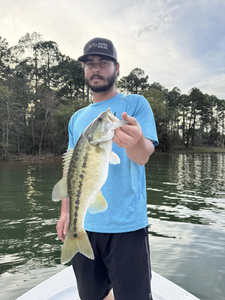 Guadalupe Bass, 20 inches, fishing in SC