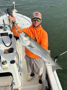 Striped bass caught fishing in SC