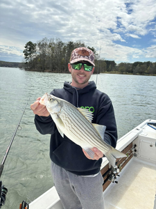 Striped Bass caught fishing in SC
