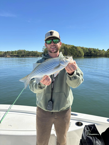Striped bass fishing in Townville