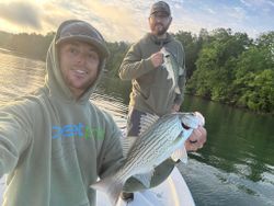 Striped bass fishing in Townville