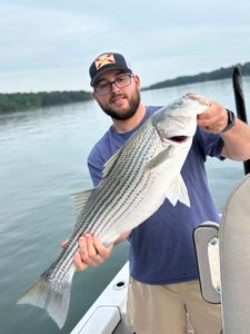 Striped bass caught fishing in SC