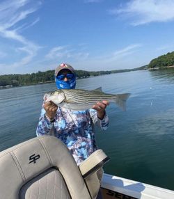 Striped bass caught while fishing in Townville