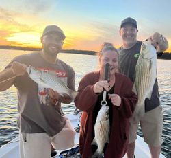 3 Wiper and Striped Bass fish caught by 3 people in Townville