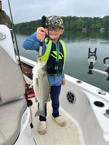 Wiper (Hybrid striped bass) fish caught in Townville