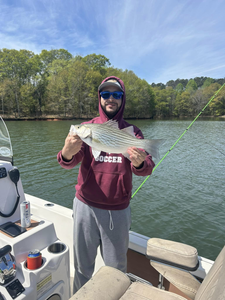 Wiper (hybrid striped bass) caught in SC