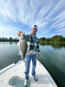 Wiper (Hybrid striped bass) caught while fishing in Townville