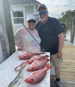 4 bluefish caught while fishing in Niceville
