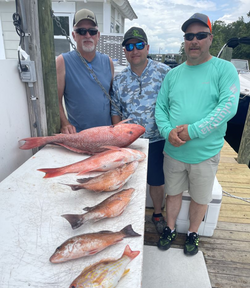 6 big fish caught at Niceville fishing spot