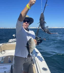 Two brown bullhead fish caught in Florida