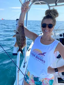 Gag Grouper fish caught while fishing in FL