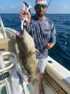 Gag grouper caught by angler in Niceville