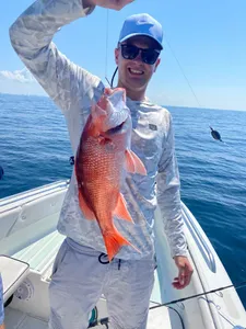 Photograph of a grey snapper fish caught by a person in Niceville