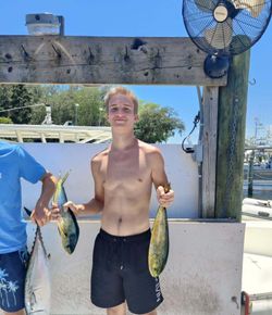 Fresh caught mahi mahi displayed on fishing charter boat in Niceville FL